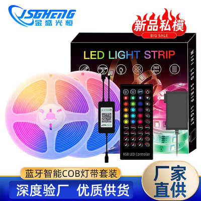 新款COB软灯带RGB彩色霓虹线条灯12V超高亮氛围灯LED柔性灯条套装