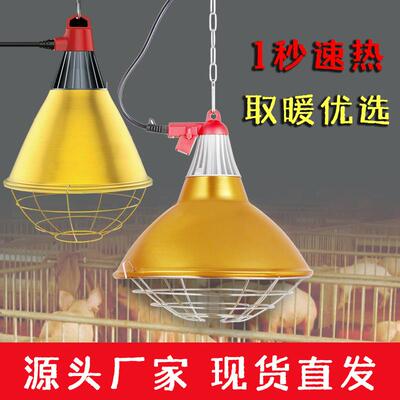 W养殖保温灯罩猪场仔猪保暖灯兽用宠物小鸡小猪鹦鹉育雏取暖灯