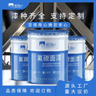 金属氟碳漆 钢结构氟碳漆 含氟量24%的氟碳漆 桥梁箱梁防腐面漆