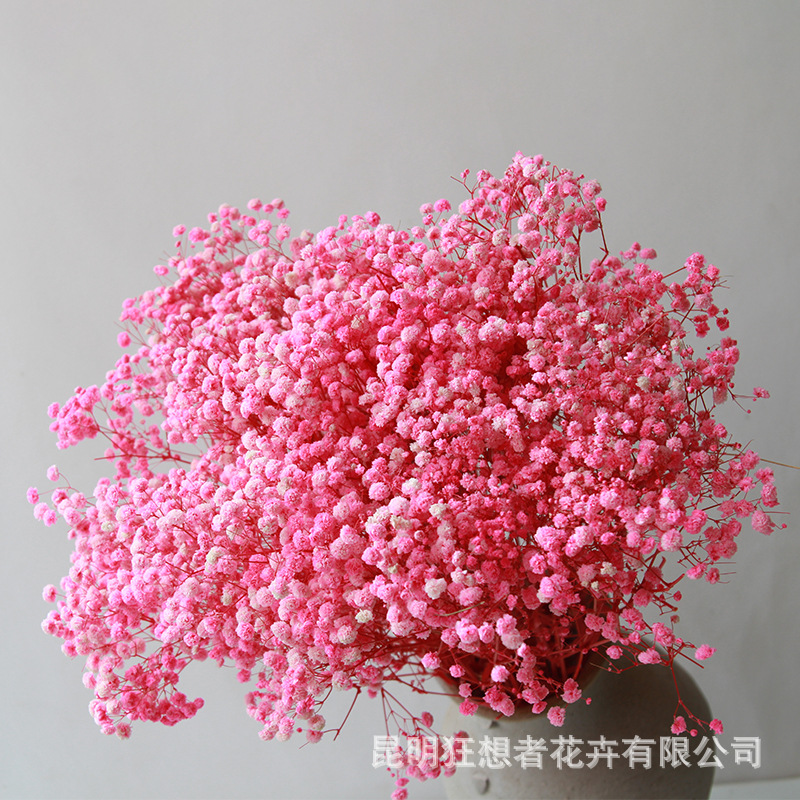 满天星永生干花干花厂家餐桌花艺