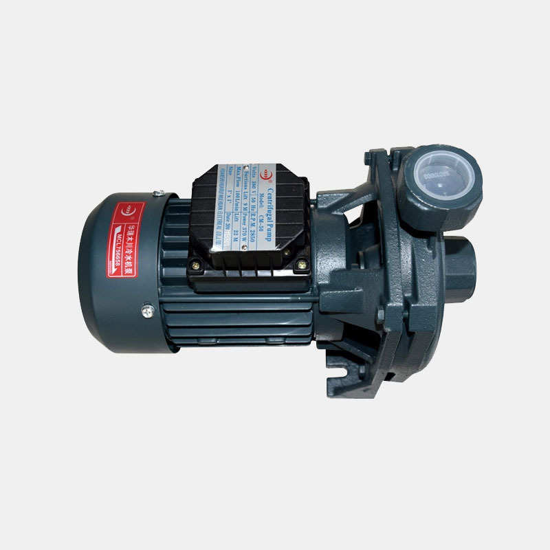 供应模温机水泵油泵 高温水泵 高温导热油循环油泵 不锈钢泵批发