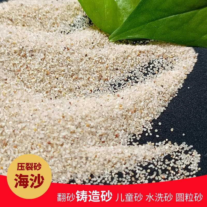 幼儿园儿童城堡沙池沙坑水洗海砂 圆粒无尘海沙造景沙疗压裂砂