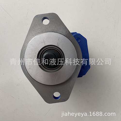 1115432006成工956G转向泵 P5100-F100NP367 6/P124-G16Y03G
