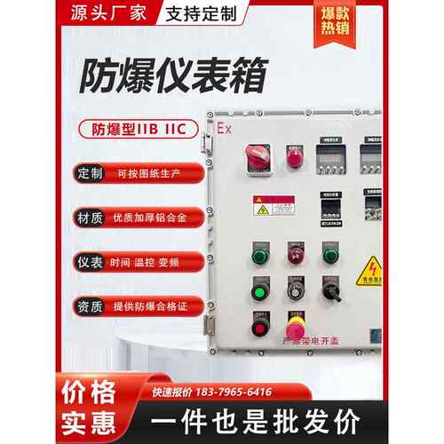 防爆温控仪表配电箱时间定时控制柜PH计变频器转速表接线箱EX定制