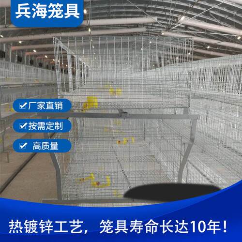 热镀锌肉鸡笼三层肉鸡笼高品质肉鸡笼使用寿命长热镀锌养殖设备