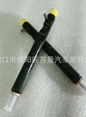 共轨喷油器德尔福EJBR03301D适用于江铃欧三JX493ZLQ3车型