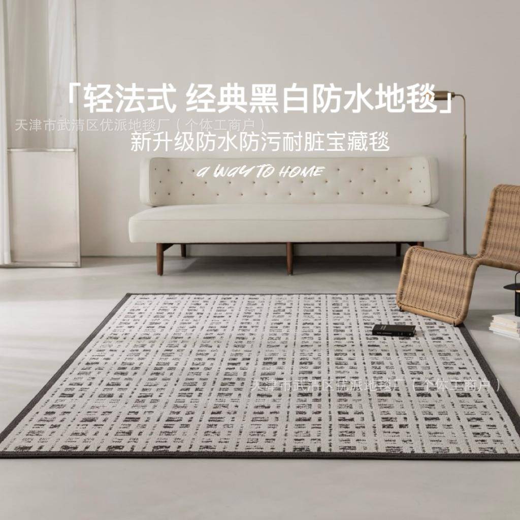 防水防污地毯客厅黑白经典高级感别墅百搭耐脏隔音沙发卧室床边毯
