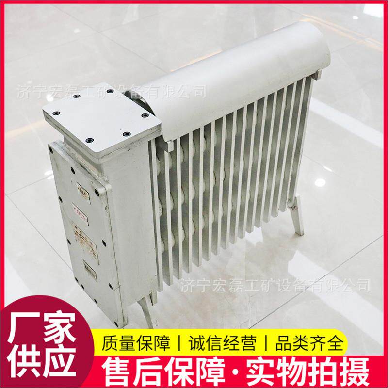 RBE-2000/127矿用电热取暖器煤矿井下加热取暖设备防爆电热油汀