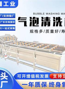 全自动土豆丝气泡清洗机烘干豆角加工设备清水竹笋浸泡清洗设备