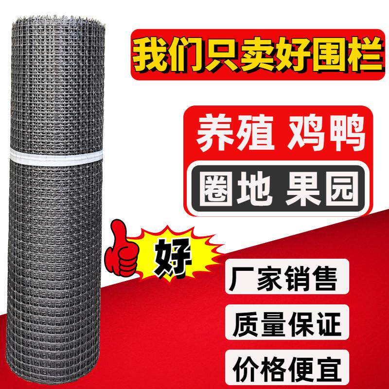 养鸡网塑胶网围栏网护栏网隔离网户外养殖网拦鸡网栅栏菜园防护网