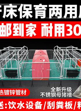 母猪产床热镀2.5产保一体两用床定位栏单双体保育床养猪设备包邮