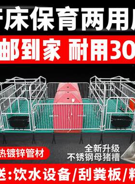 母猪产床热镀2.5产保一体两用床定位栏单双体保育床养猪设备包邮