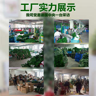 -圣诞树240cm150热销可变摆件装饰枝叶光圣诞树加密pvc圣诞节