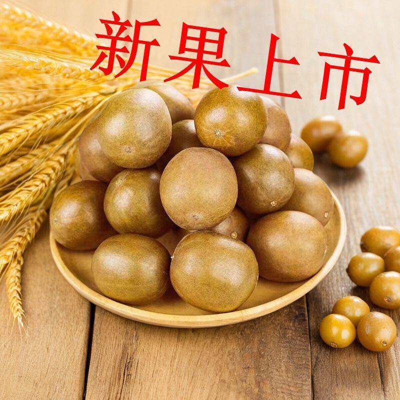 新果罗汉果干果散装大果独立包装低温脱水广西桂林黄金果茶
