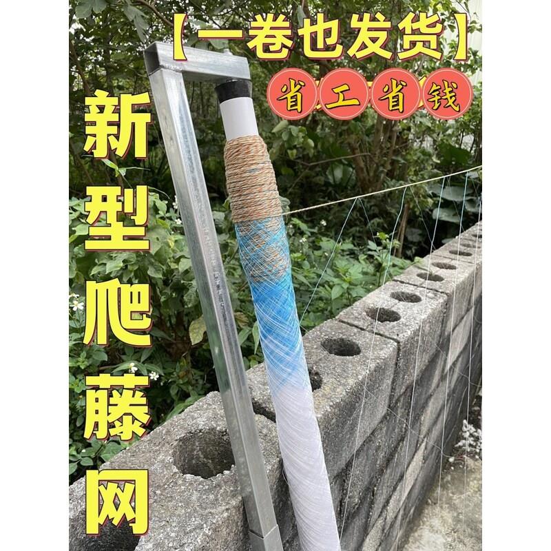 爬藤网新型豆角爬藤网四季豆爬藤网荷兰豆豌豆植物爬藤网新款厂家