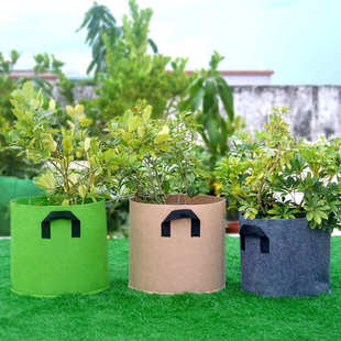 种植箱阳台楼顶种菜盆无纺布种植袋多肉花盆美植袋蔬果月季育苗盘