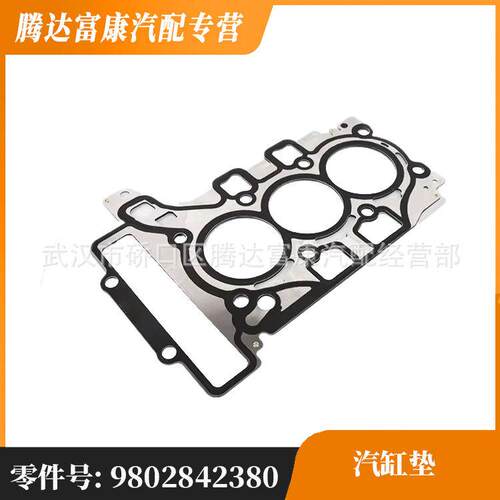 适用于标致 雪铁龙 DS 气缸垫 9802842380