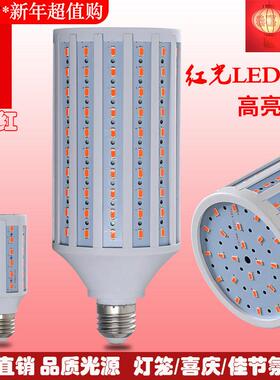 喜庆红光LED灯泡灯笼专用玉米灯泡螺口家用婚房门口阳台气氛灯泡