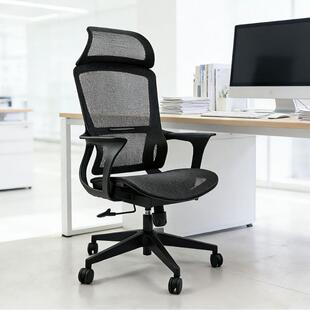 简约人体工学椅可升降家用书桌电脑椅办公室办公椅子靠背椅电竞椅