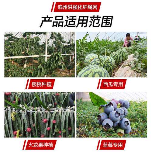 生姜平针遮阳色抗老EGF化防晒平织网网蓝莓蔬菜黑水阳果大棚农用