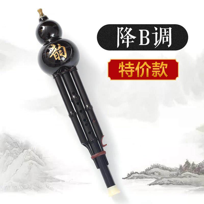正品族乐小器葫芦丝c调降b调成民人生初学者中学生专业教学学胡芦