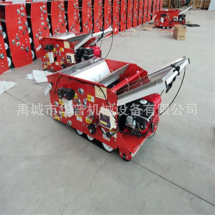 种植机自走式水育苗盘机2BPJ-1覆土摆摆盘机水稻秧种稻育植机