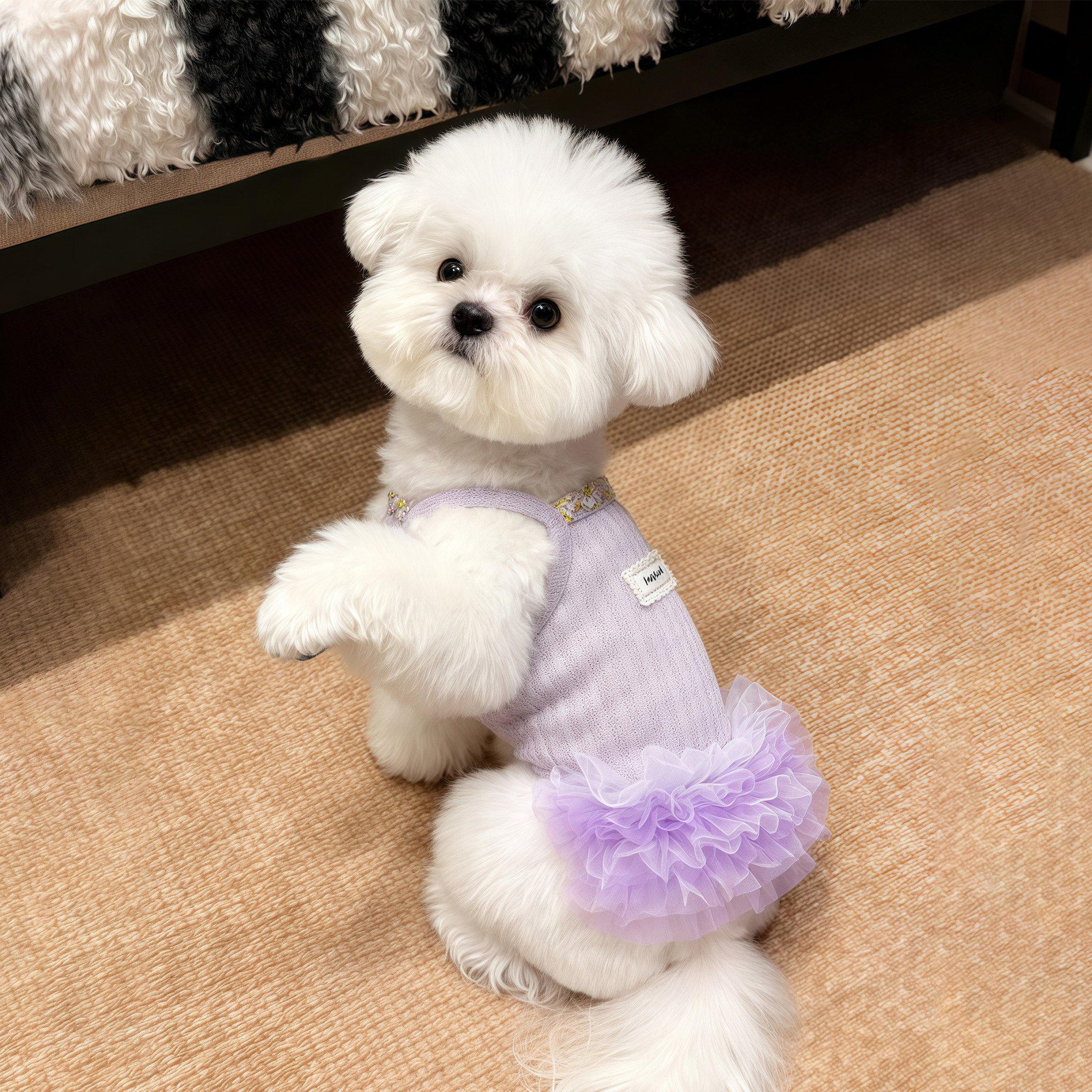宠物狗狗衣服小型犬背心夏天薄款洋装猫咪防掉毛吊带2026新款