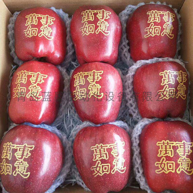 水果礼品印刷自动可食用苹果印字机