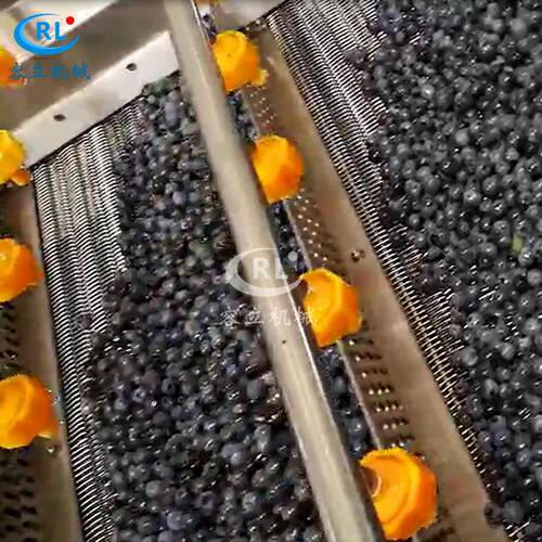 供应刺梨清洗机气泡冲浪式圣女果樱桃萝卜清洗设备西红柿清洗机