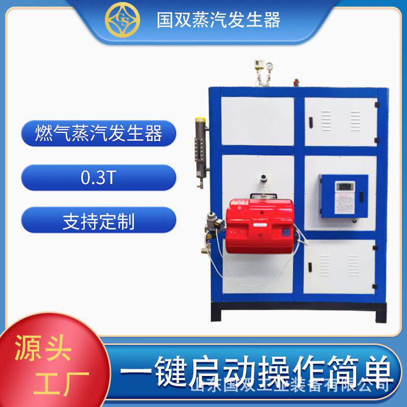 燃气蒸汽发生器300公斤全自动肉制品蔬菜蒸煮漂烫蒸汽设备