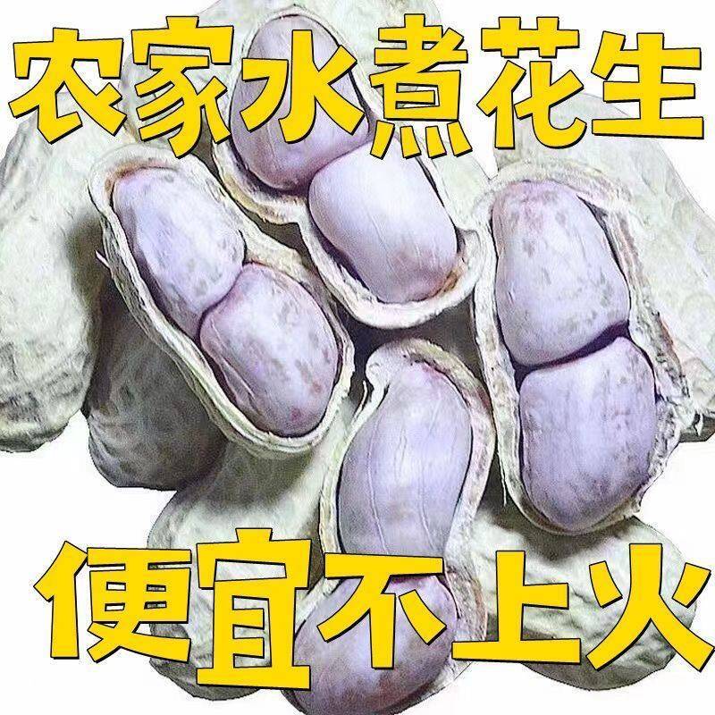 现货广东咸干水煮花生晒干原味白晒湿盐水煮熟带壳新下酒小零食