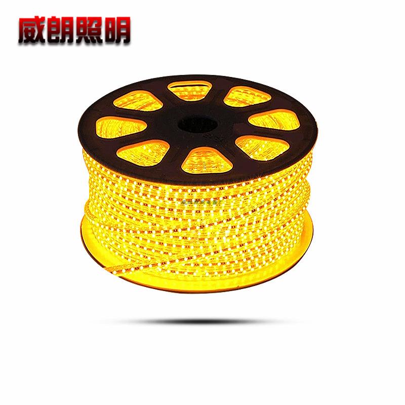 led灯带客厅吊顶灯管七彩变色线灯防水灯条220v户外装饰家装光带
