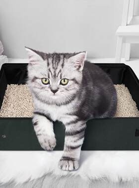 便携式猫砂盆外出携带可折叠户外牛津布防水车载可用猫咪外出厕所