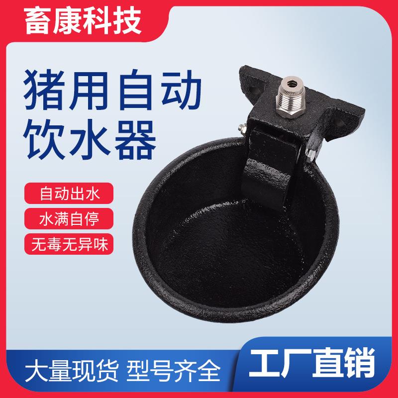 猪用自动饮水器铸铁猪饮水碗猪用碗式饮水器触碰式喝水碗养猪设备