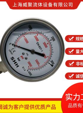 不锈钢高压防震压力表600MPA。径向外螺纹6000BAR公斤 轴向法兰边