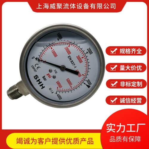 不锈钢高压防震压力表600MPA。径向外螺纹6000BAR公斤轴向法兰边