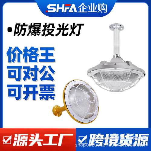 国标LED防爆灯工厂房车间照明灯仓库专用防爆灯三防型加油站灯