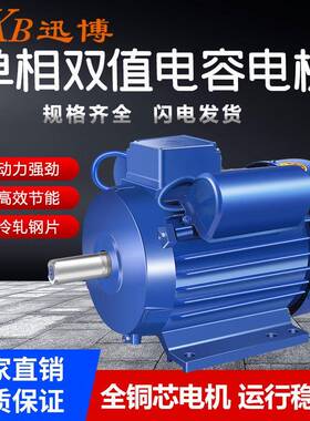厂家直销0.75W220V异步双值纯铜电动机2800转速马达
