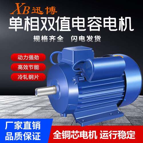 厂家直销0.75W220V异步双值纯铜电动机2800转速马达