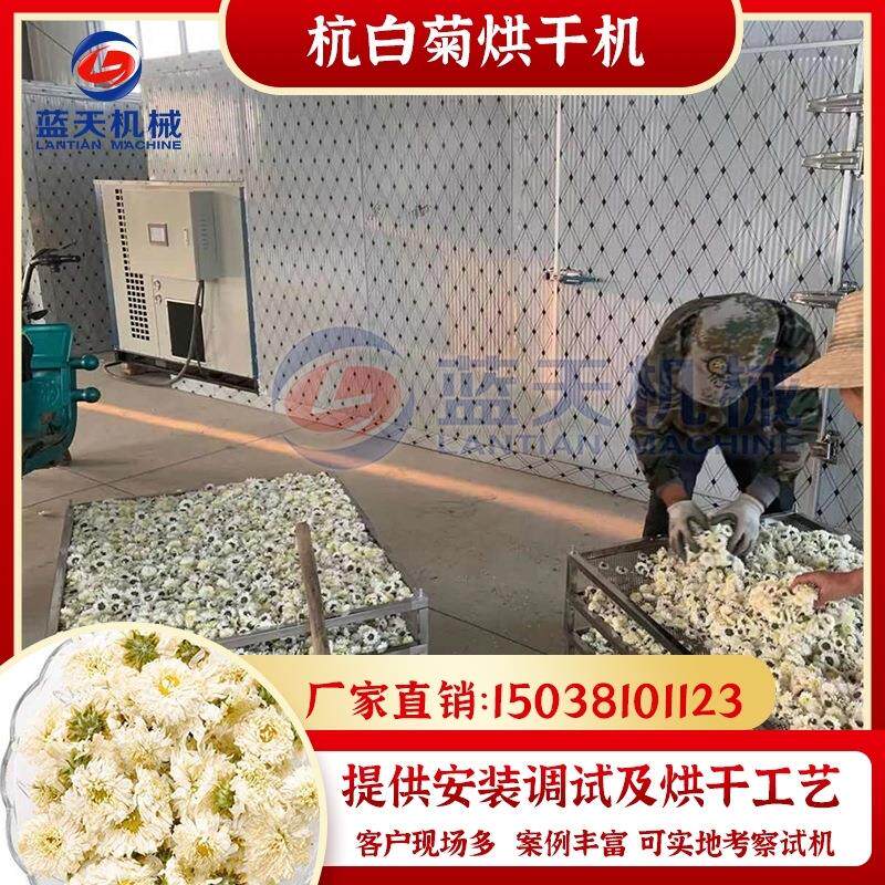 杭白菊烘干机杭白贡菊振兴农业烘干房项目全自动小白菊烘干设备