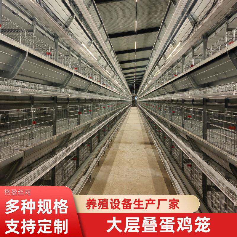 养殖场全自动化养殖设备层叠式自动化捡蛋清粪养鸡笼大层叠蛋鸡笼