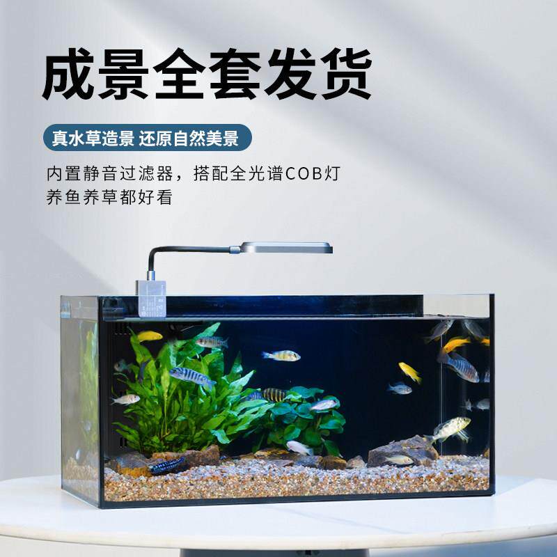 鱼缸家用超白玻璃中小型客厅鱼缸生态水景缸生态桌面造景缸溪流缸