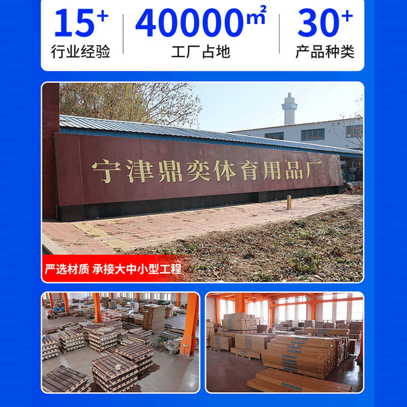 台球桌中八标准台商用钢库成人球房球厅俱乐部用中式黑八台球桌