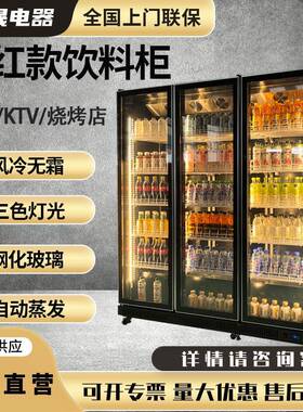 网红冷藏展示柜酒吧KTV酒水饮料冷藏柜风冷冰箱三色灯光保鲜柜