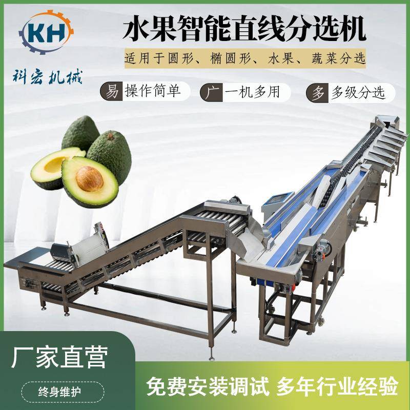 科宏机械水果直线分选机人参果百果牛油果香能分拣重智量分选