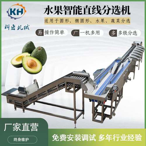 机械水果直线分选机人参果百香果牛油果智能分拣重量分选