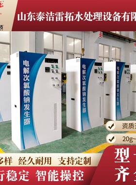电解次氯酸钠发器CBD自水厂消生毒法设备电解盐次氯酸钠发生器1k