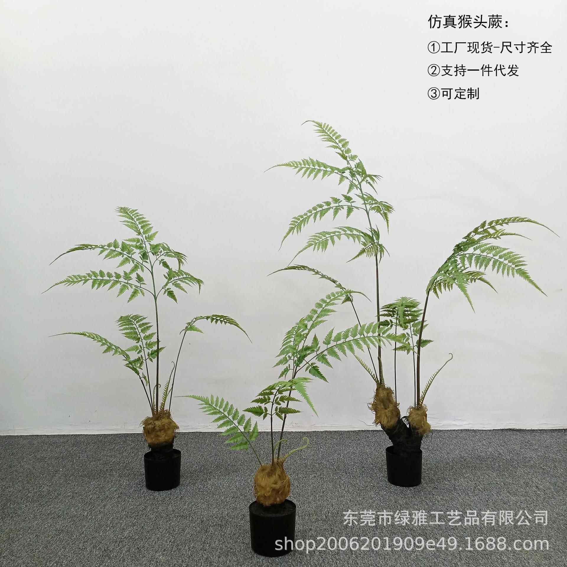 仿真绿植仿真猴头蕨金丝蕨新中式禅意蕨树园林庭院造景假绿植