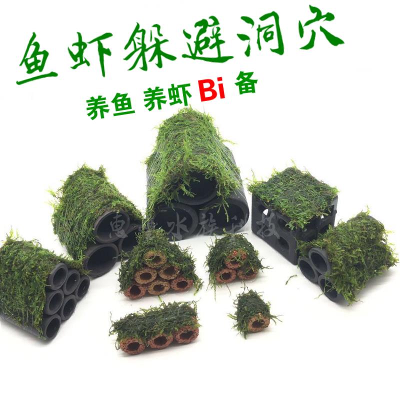 鱼缸躲避屋迷你莫斯水草小屋鱼虾罐产卵洞装饰造景套餐懒人水草