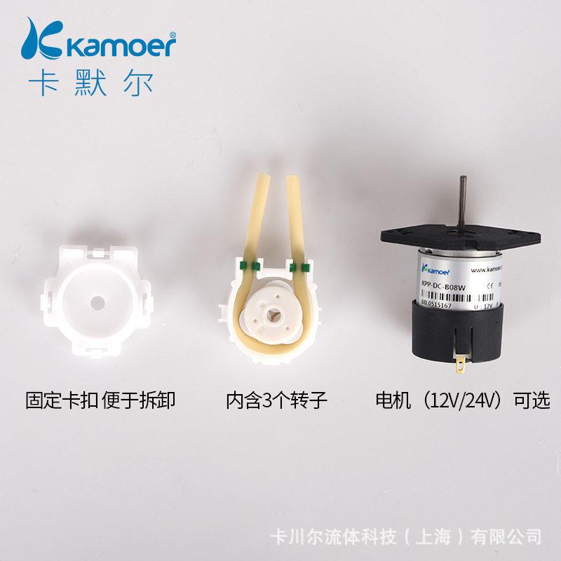 微型蠕动泵12v直流电机小抽水泵家用电动自吸泵扬程24v自动水泵